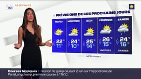 Météo Paris-Ile de France du 30 mai: Un temps sec, très lumineux