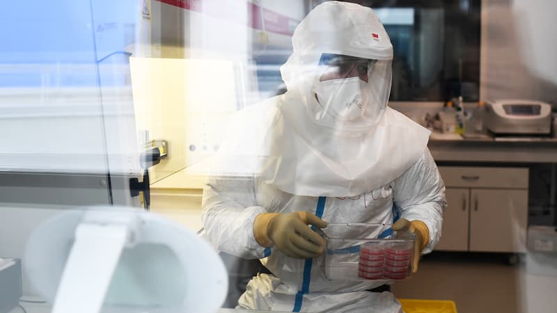 Dans un laboratoire universitaire de Marseille, en 2018. (photo d'illustration)