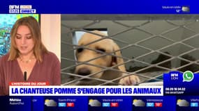 La chanteuse lyonnaise Pomme s'engage pour les animaux