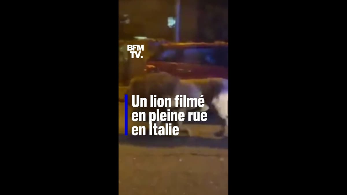 placeholder video