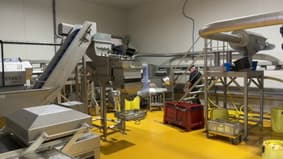 La production de pommes de terre française bat des records