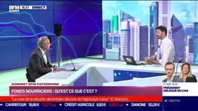 Sommet BFM Patrimoine : Fonds nourriciers, qu'est-ce que c'est ? - 16/06