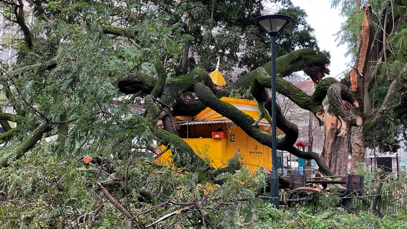 Au moins quatre morts et jusqu'à 850.000 foyers sans électricité après le passage de la tempête Kristin au Portugal