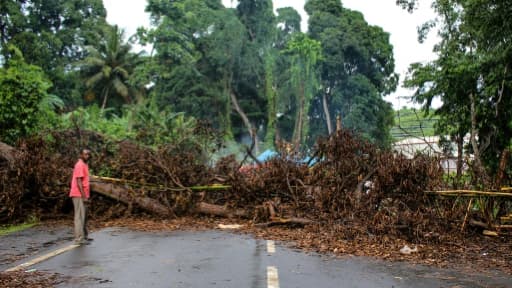 Le barrage fait d'arbres coupés et d'abattis qui coupait complètement l'accès au port de Longoni à Mayotte, le 5 avril 2018