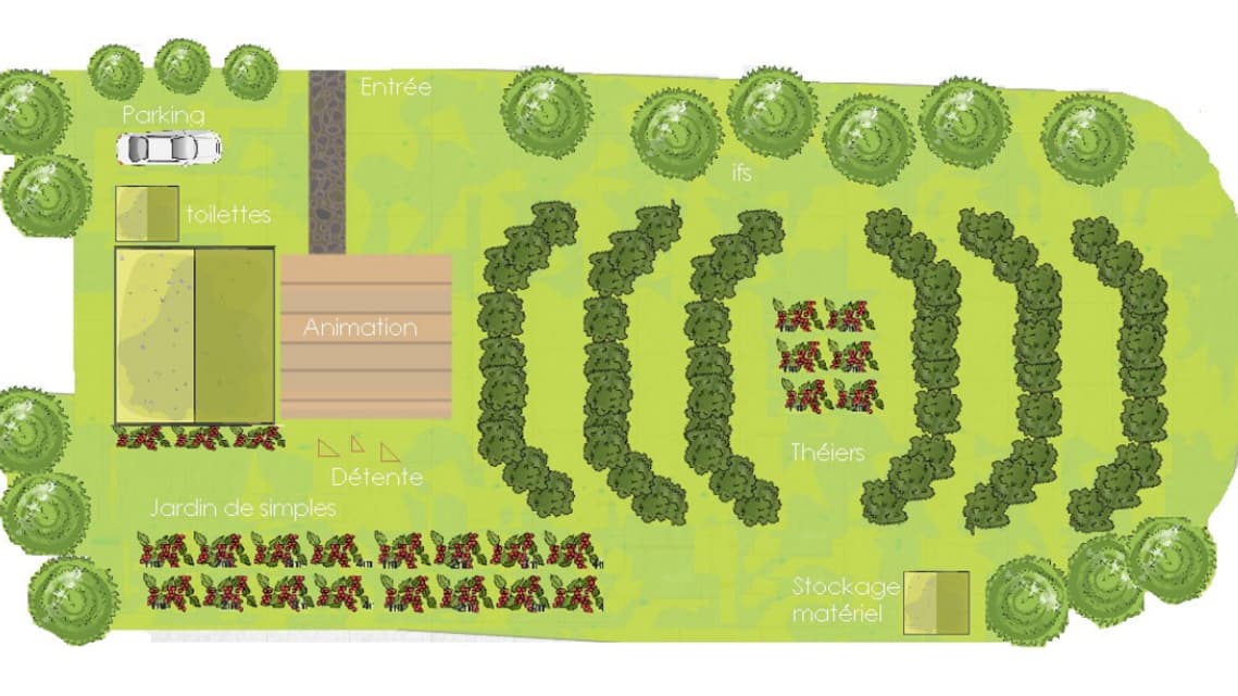 Le plan du "Jardin de Thé", lauréat des Parisculteurs 2023.