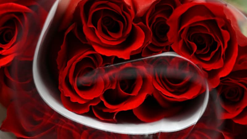 La Colombie a exporté 700 millons de fleurs pour la Saint Valentin