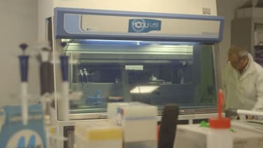 L’Oréal s'allie avec une start-up girondine spécialisée dans la bio-impression de tissus biologiques assistée par laser pour pouvoir reproduire un follicule pileux.