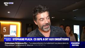 Violences conjugales: ce qu'a dit Stéphane Plaza aux enquêteurs