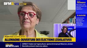 Élections anticipées en Allemagne: Vers une percée de l'Afd ?