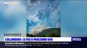 Collongues: le feu a parcouru 5 hectares