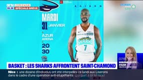 Basket: les Sharks d'Antibes affrontent Saint-Chamond ce mardi soir