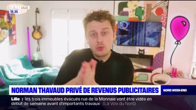 Affaire Norman Thavaud: le Youtubeur privé de revenus publicitaires
