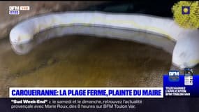 Carqueiranne: la plage du Pradon fermée en raison d'écoulements d'huile