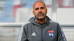 Peter Bosz, entraîneur de l'OL