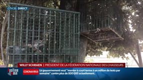 Chasse à la glu: Willy Schraen, patron des chasseurs, a l’intention d’attaquer l’État
