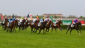 Les pronos hippiques du lundi 30 octobre 2023