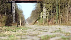 La Trouée d'Arenberg