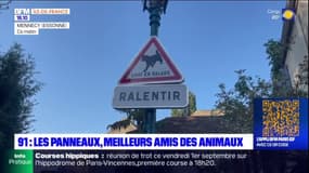 "Chat en balade: ralentir": des panneaux pour lever le pied et protéger les animaux dans l'Essonne