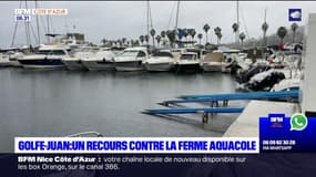 Golfe-Juan: un nouveau recours déposé contre la ferme aquacole