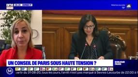 Anne Hidalgo "plus occupée à gérer ses problèmes de harcèlement sexuel" que "les besoins urgents des Parisiens", selon Nelly Garnier