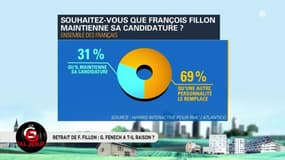 Affaire Fillon - Fenech : "Je ne peux pas faire campagne sur le terrain dans ces conditions"