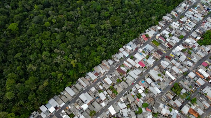 Déforestation illégale au Brésil : Zara et H&M visés par une ONG britannique