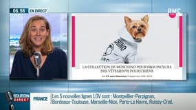 H&M et Moschino lance une collection de vêtements pour chiens
