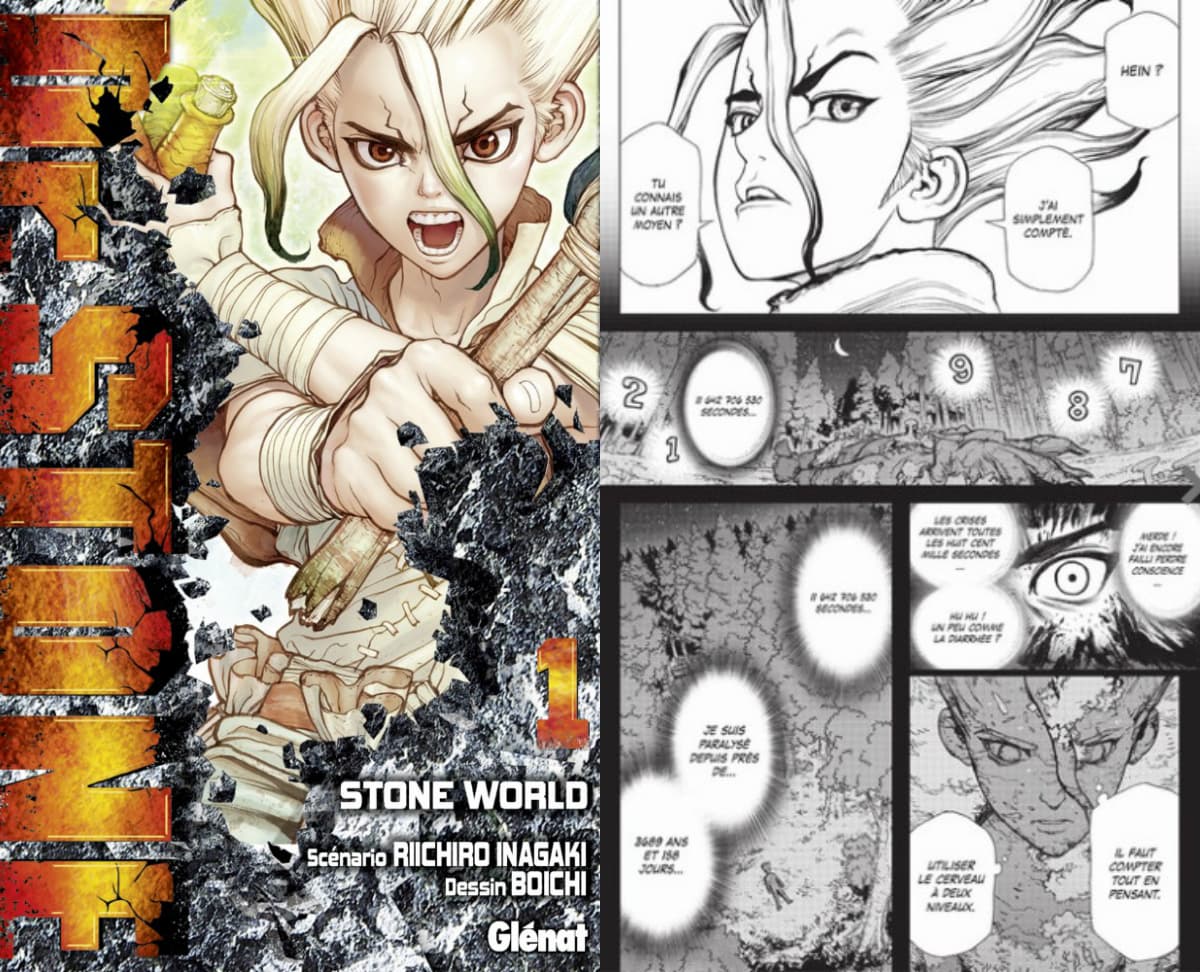Tout savoir sur les types de manga