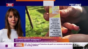 Un texte déposé à l'Assemblée nationale pour interdire la puff