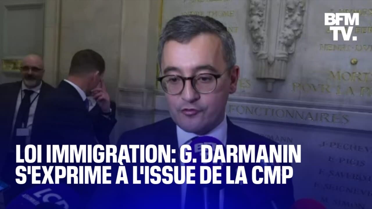 Loi Immigration: La Prise De Parole De Gérald Darmanin à L'issue De La ...