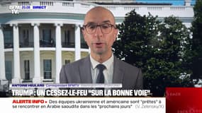 Ukraine: Donald Trump propose que les États-Unis prennent "possession" des centrales ukrainiennes comme garantie de sécurité