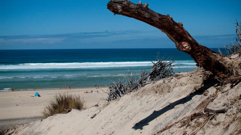 Une plage de Biscarosse dans les Landes (Photo d'illustration).