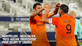 Montpellier : Nicollin n'a "reçu aucune proposition" pour Delort et Laborde