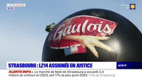 Strasbourg: l'association L214 assignée en justice