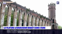 Eure: la filature Levavasseur renaît grâce à un investissement de près de 2 millions d'euros