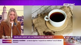 Quelles sont les alternatives au café? 