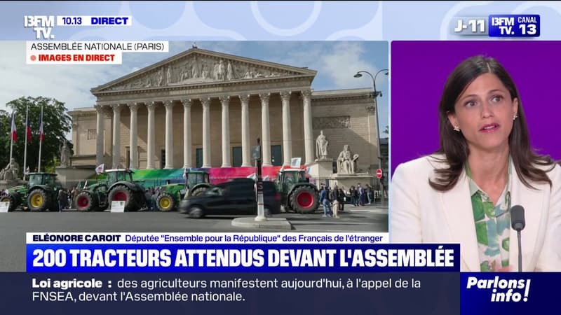 Loi Duplomb: pour Eléonore Caroit (Ensemble), les amendements déposés 
