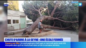 Un arbre s'effondre dans la cour de l'école maternelle Victor Hugo à La Seyne-sur-Mer