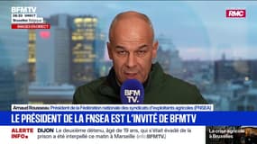 Mercosur, dermatose nodulaire bovine... "L'enjeu est beaucoup trop important pour les querelles" syndicales, assure Arnaud Rousseau, président de la FNSEA