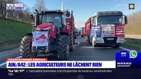 Ain: mobilisés sur l'A42, les agriculteurs ne lâchent rien