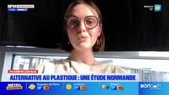 Planète locale du mercredi 16 avril - Alternative au plastique : une étude normande 