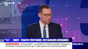 SNCF : trafic perturbé, voyageurs résignés - 16/02