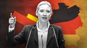 Alice Weidel, coprésidente du groupe parlementaire de l'AfD ("Alternative für Deutschland"), lors d'un congrès du parti d'extrême droite à Riesa (Allemagne), le 11 janvier 2025.