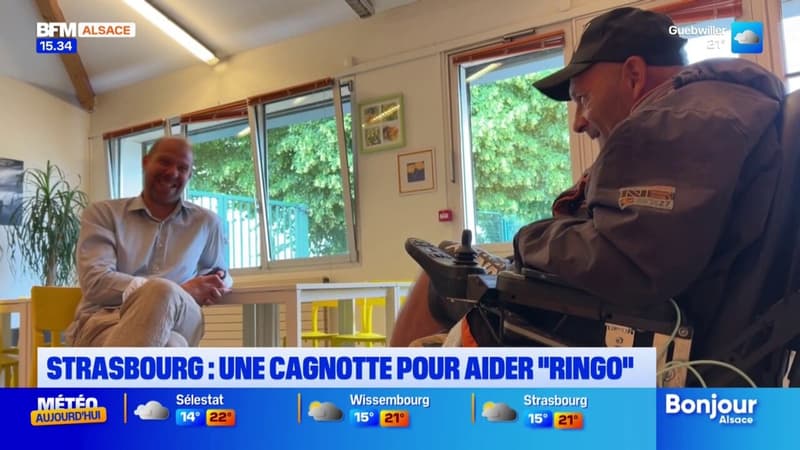 Strasbourg: une cagnotte en ligne ouverte pour aider Ringo à acheter un nouveau fauteuil roulant