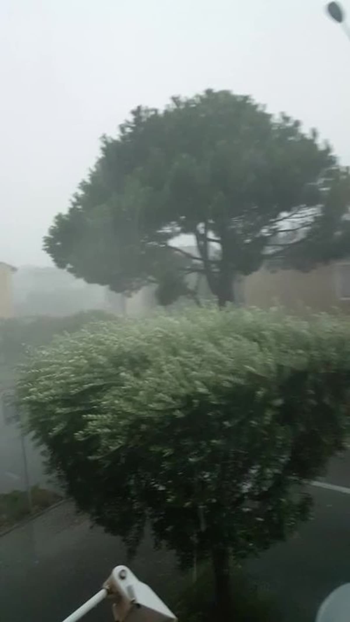 placeholder video