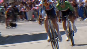Un chien renversé sur le Giro le 14 mai 2024.