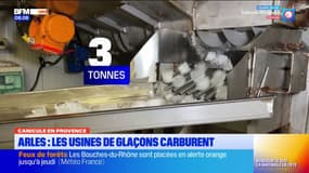 Canicule en Provence. Arles : les usines de glaçons carburent 