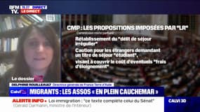 Projet de loi immigration: "On se réveille avec le sentiment que c'est le programme du Rassemblement national qui a été progressivement institué dans ce texte", affirme Delphine Rouilleault (directrice générale de France Terre d’Asile)