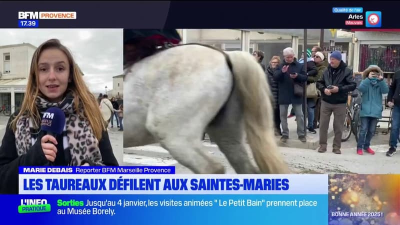 À Saintes-Maries-de-la-Mer, les taureaux ont défilé pour l'abrivado 