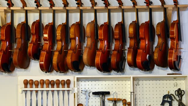 La collection d'instruments de musique de la banque centrale autrichienne est comptabilisée comme actif de réserve du pays. Elle est évaluée à 70 millions d'euros au total.